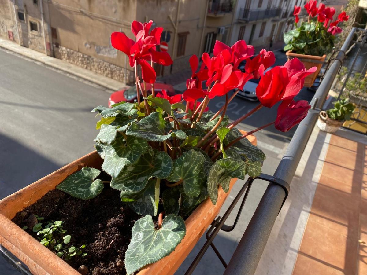Apartment In The Center Terrasini Zewnętrze zdjęcie